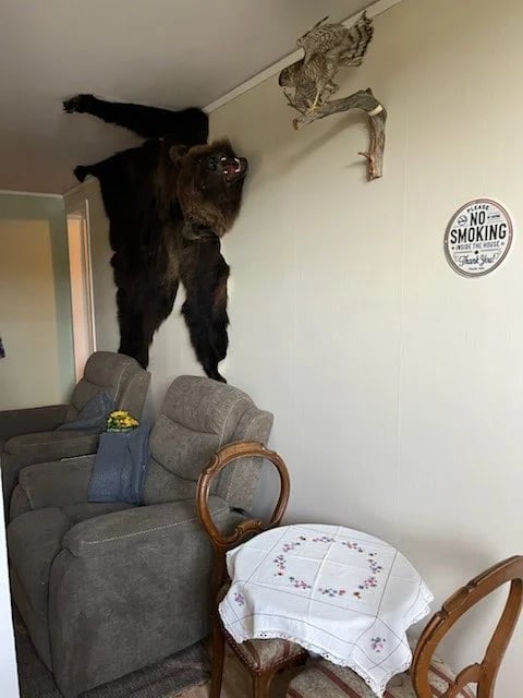 Black dog standing on hind legs against wall reaching toward taxidermied animal mount, with furniture and no smoking sign visible